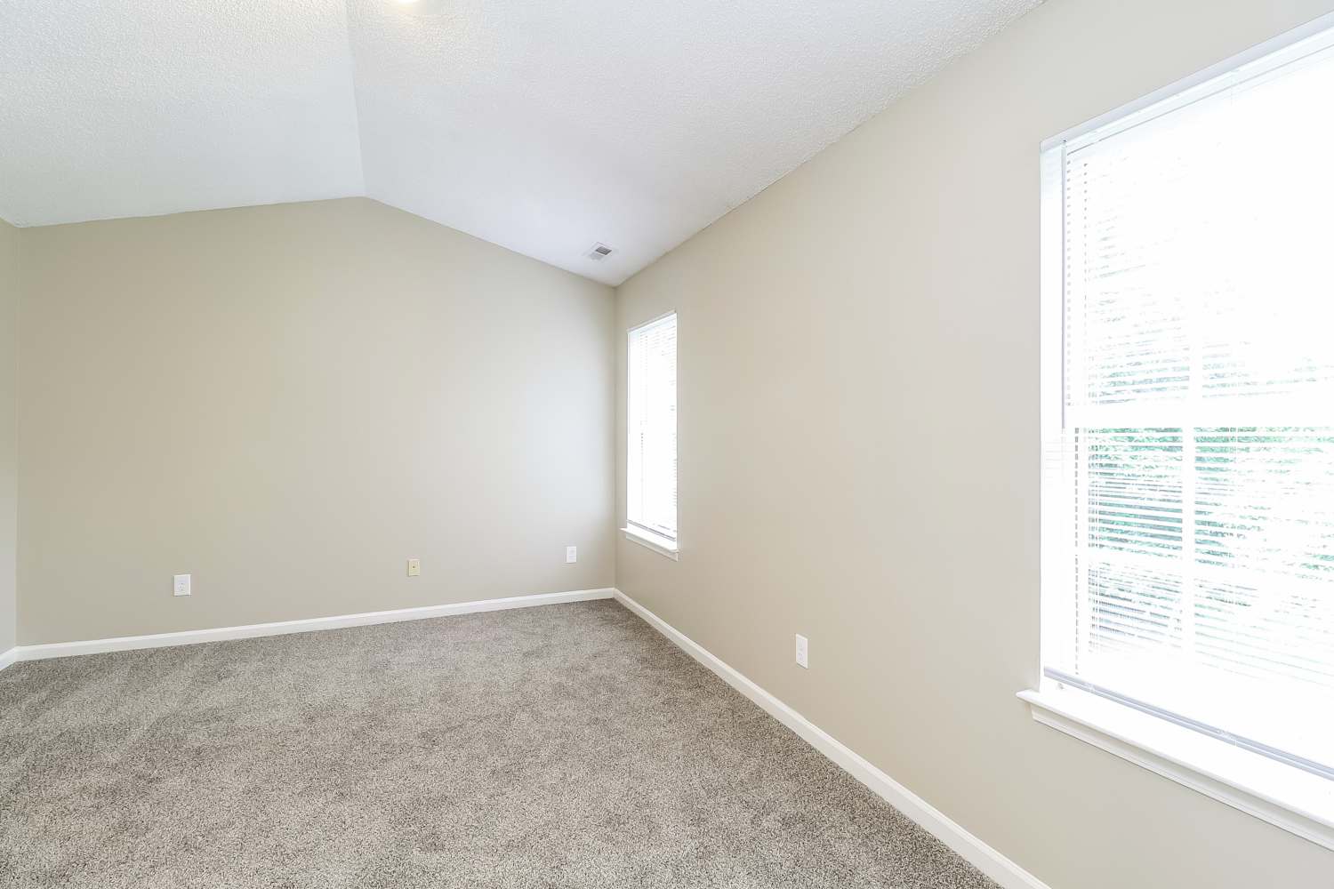 9513 Bird Watch Ln, Charlotte photo 11