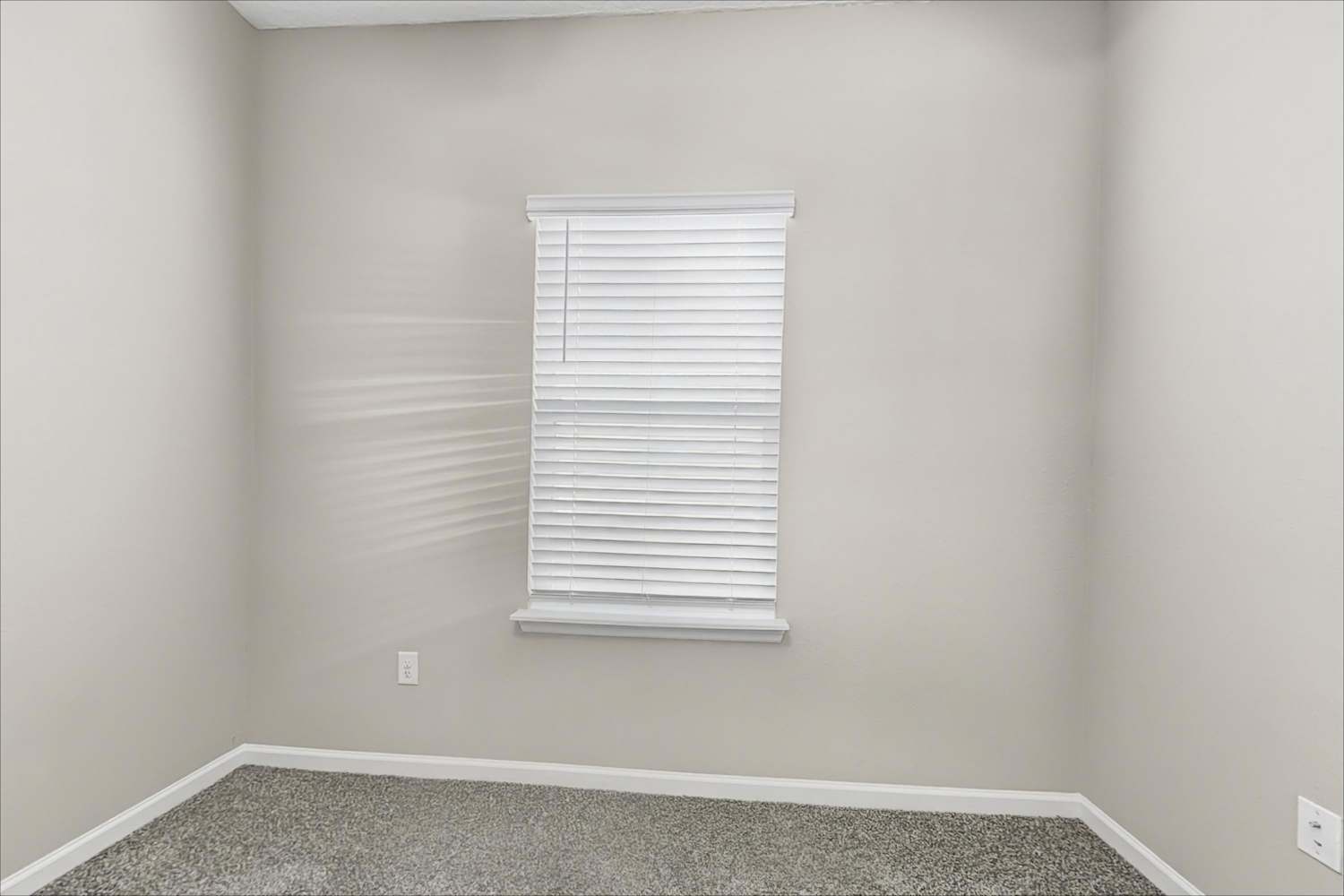 9547 Bee Balm Blvd, Jacksonville photo 16