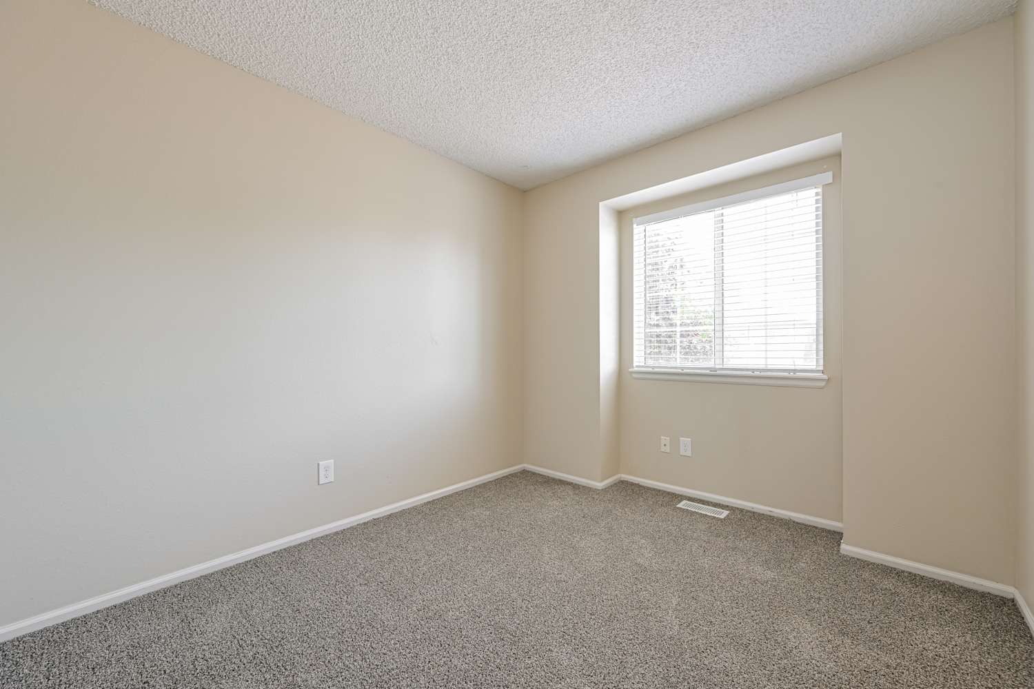 9636 Lameria Dr, Highlands Ranch photo 16
