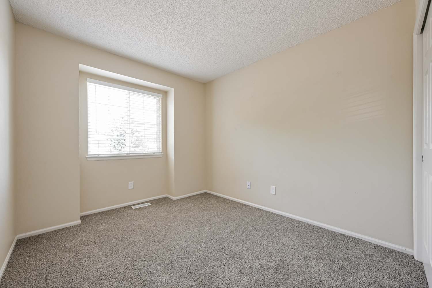 9636 Lameria Dr, Highlands Ranch photo 15