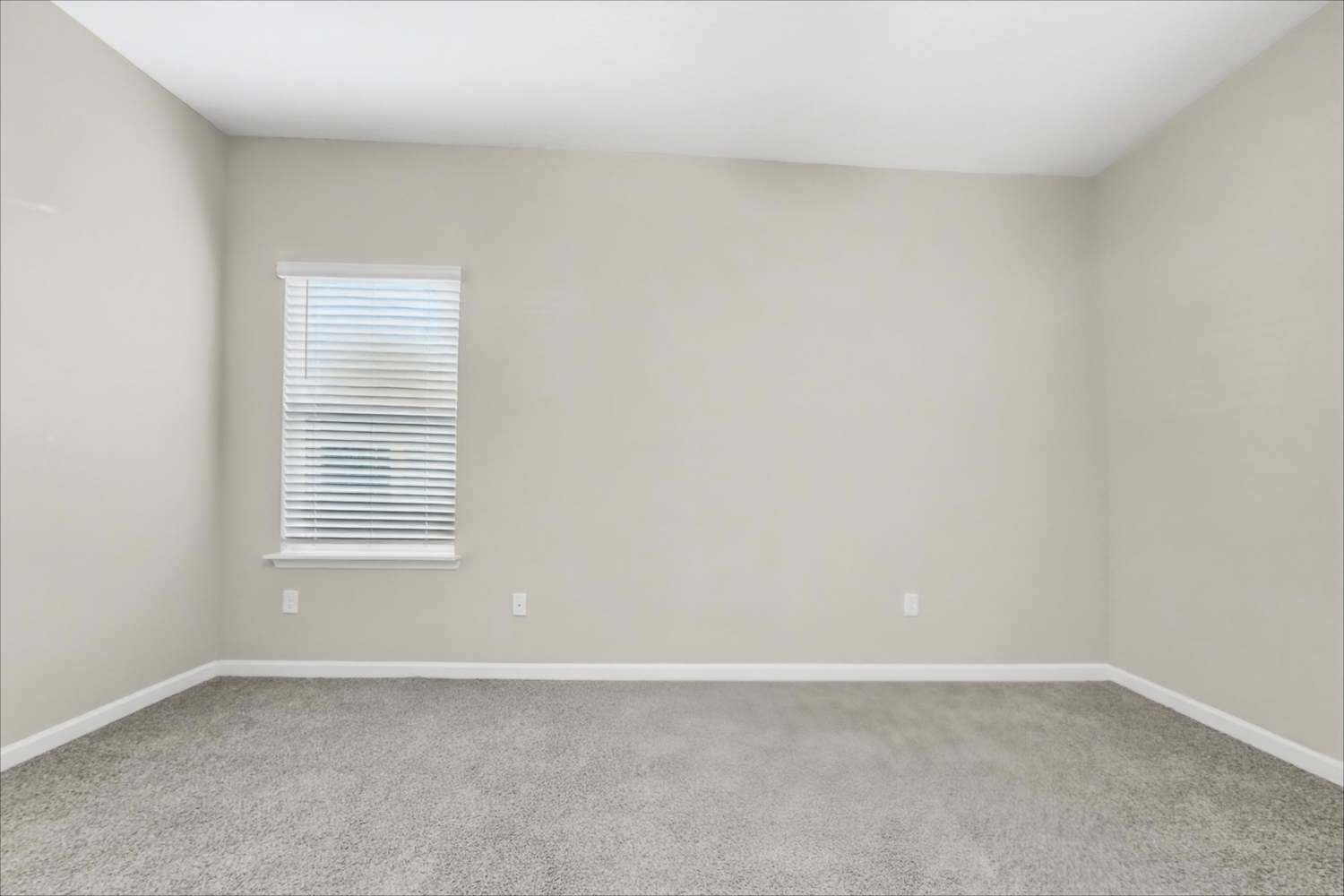 9790 Lovage Ln, Jacksonville photo 19