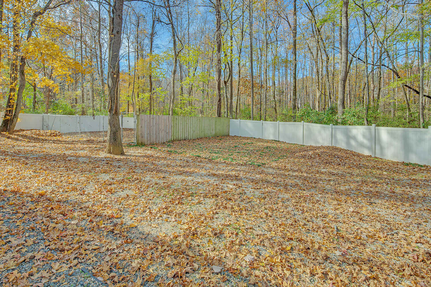 9800 Fairlea Dr, Charlotte photo 29