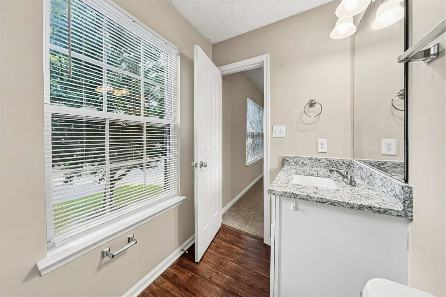 9808 Aviary Hill Way, Charlotte photo 11
