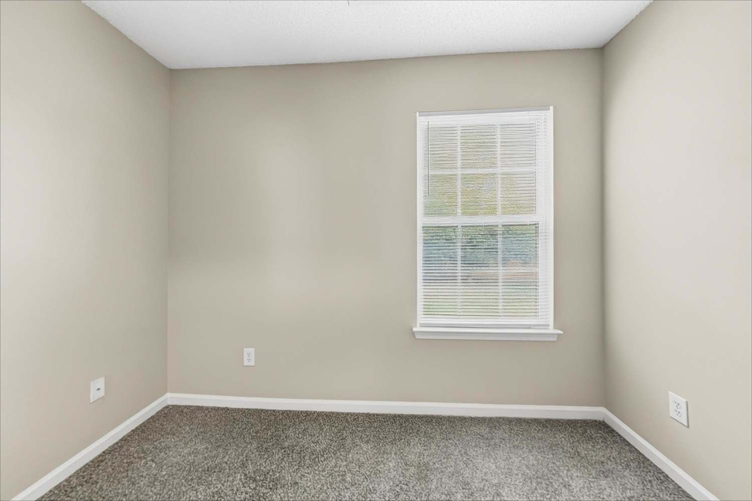 9808 Aviary Hill Way, Charlotte photo 15