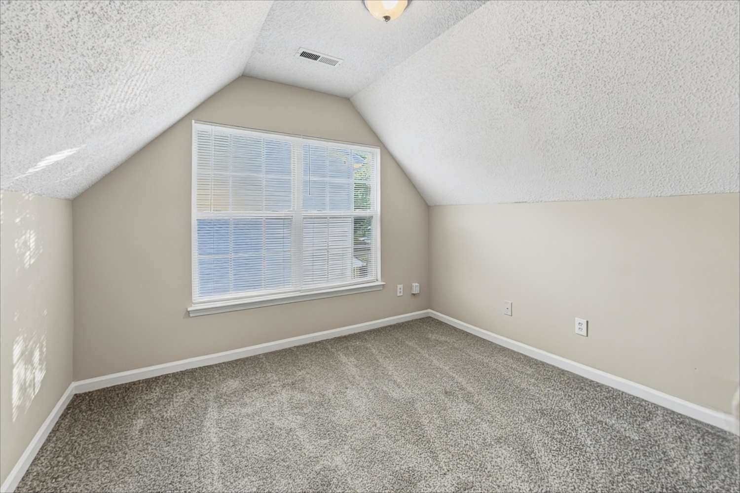 9808 Aviary Hill Way, Charlotte photo 17