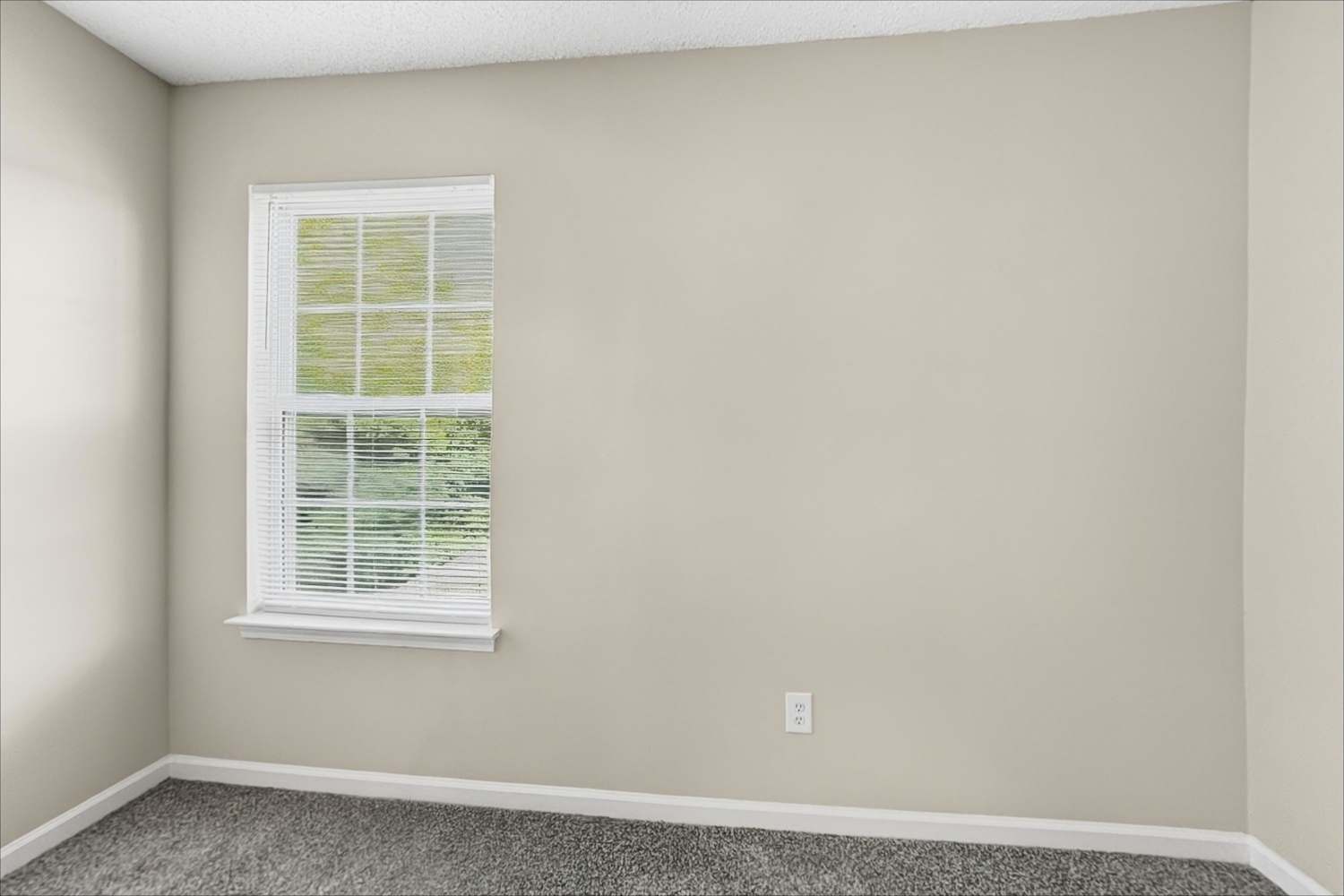 9808 Aviary Hill Way, Charlotte photo 13
