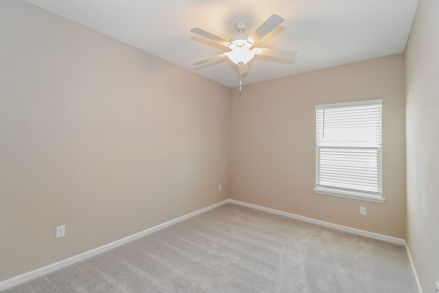 9883 Lemon Balm Wy, Jacksonville photo 11