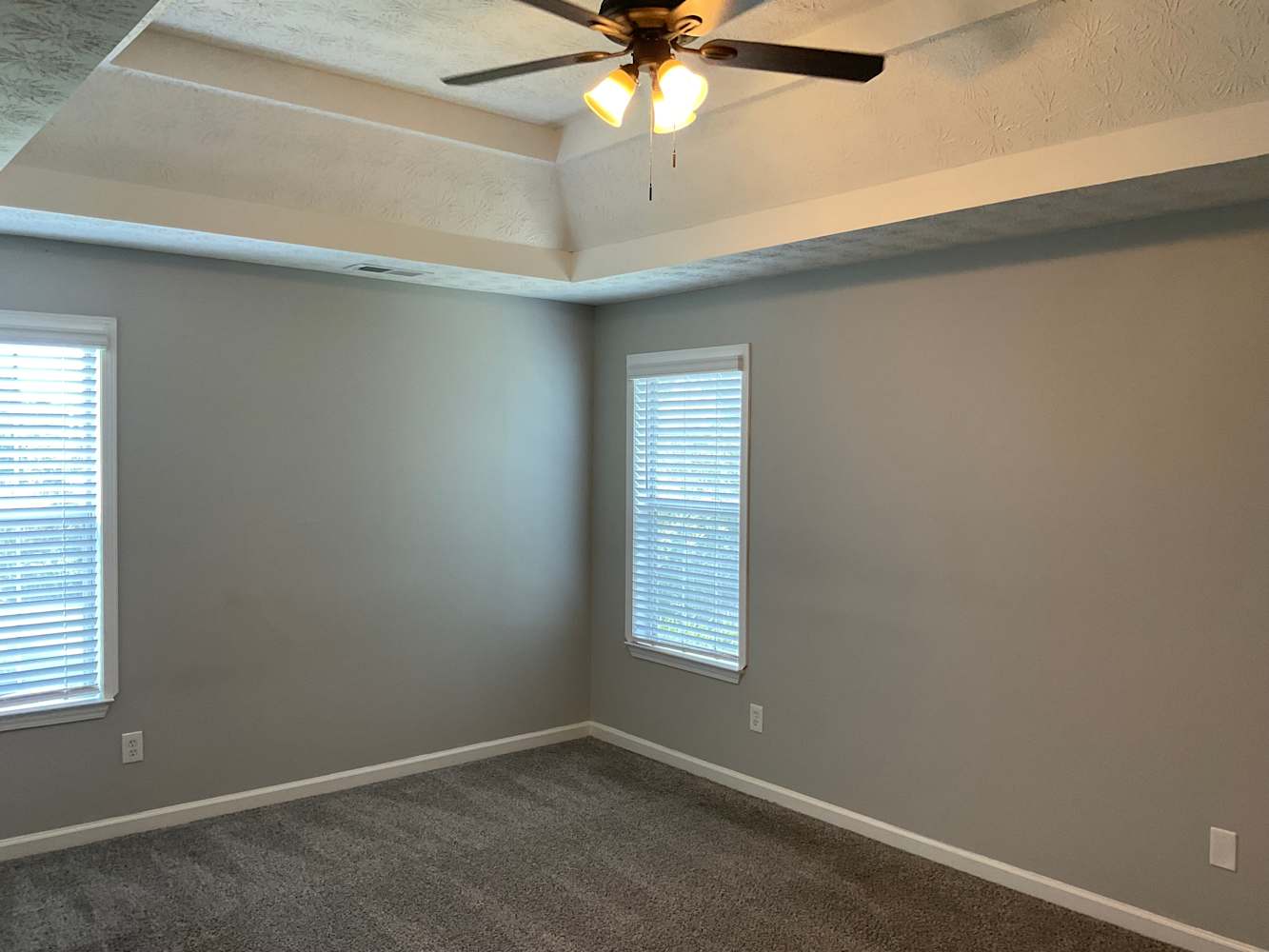 989 Field View Dr, McDonough photo 10