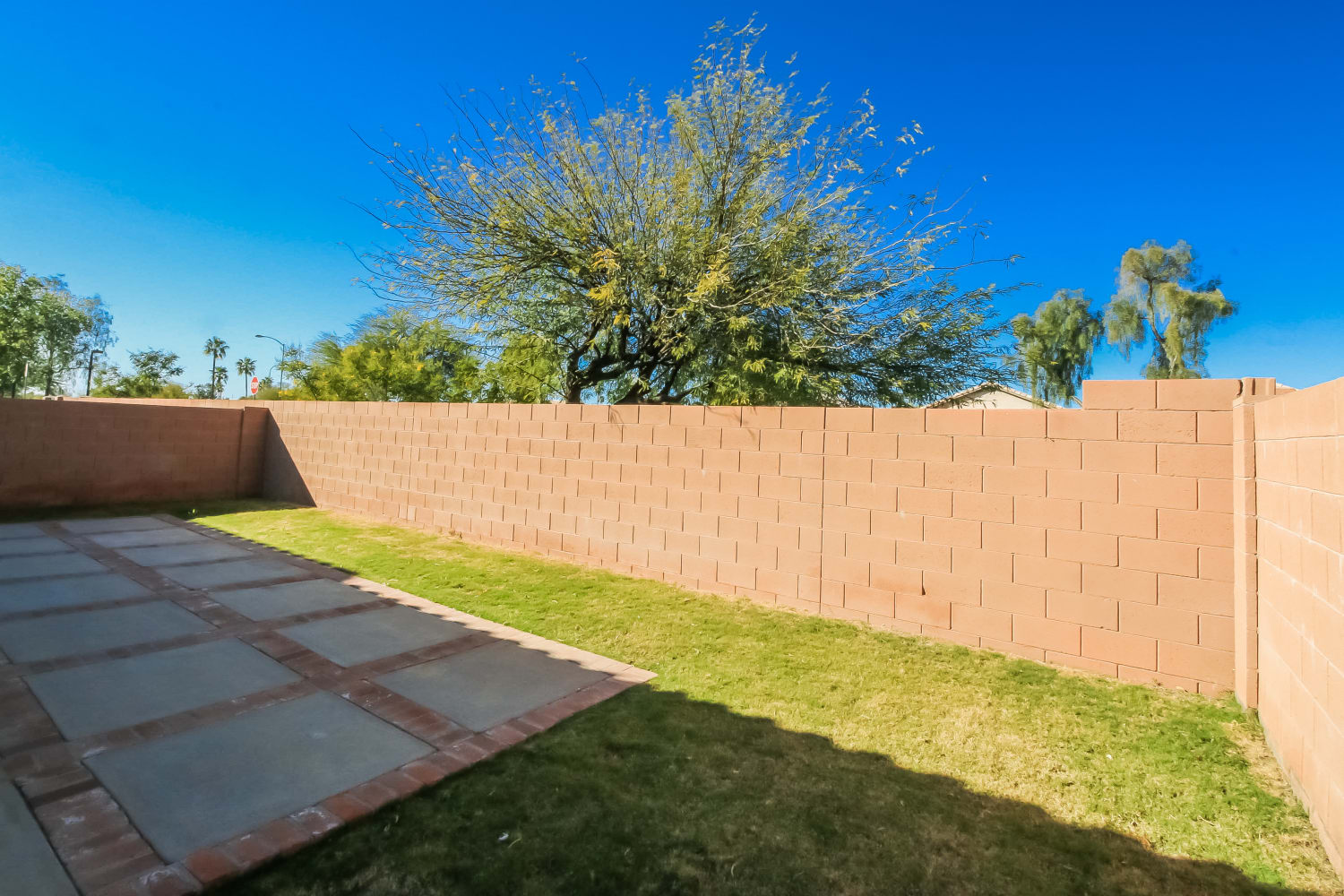 9912 E Escondido Avenue, Mesa photo 14