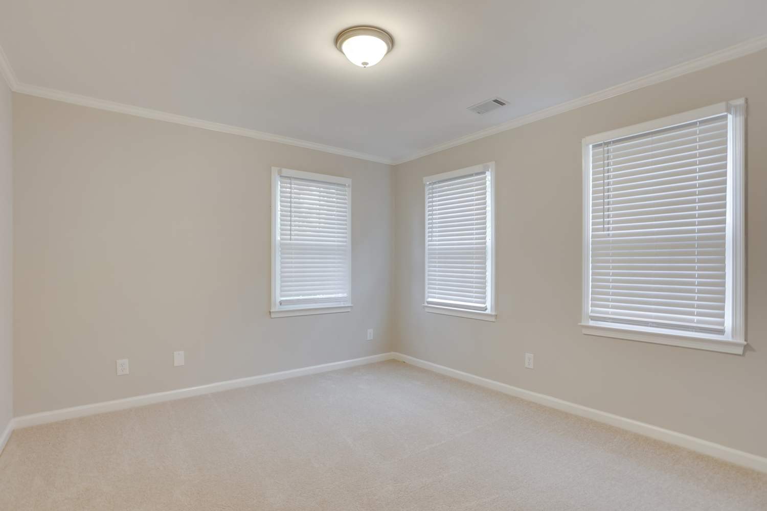 993 Tall Pine Ct, Stone Mountain photo 17