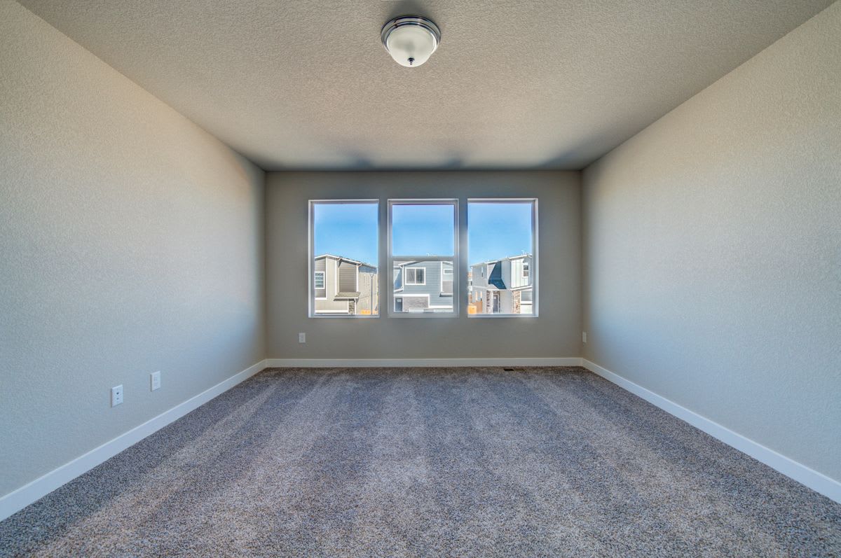 11203 Bufflehead Ln, Colorado Springs photo 11