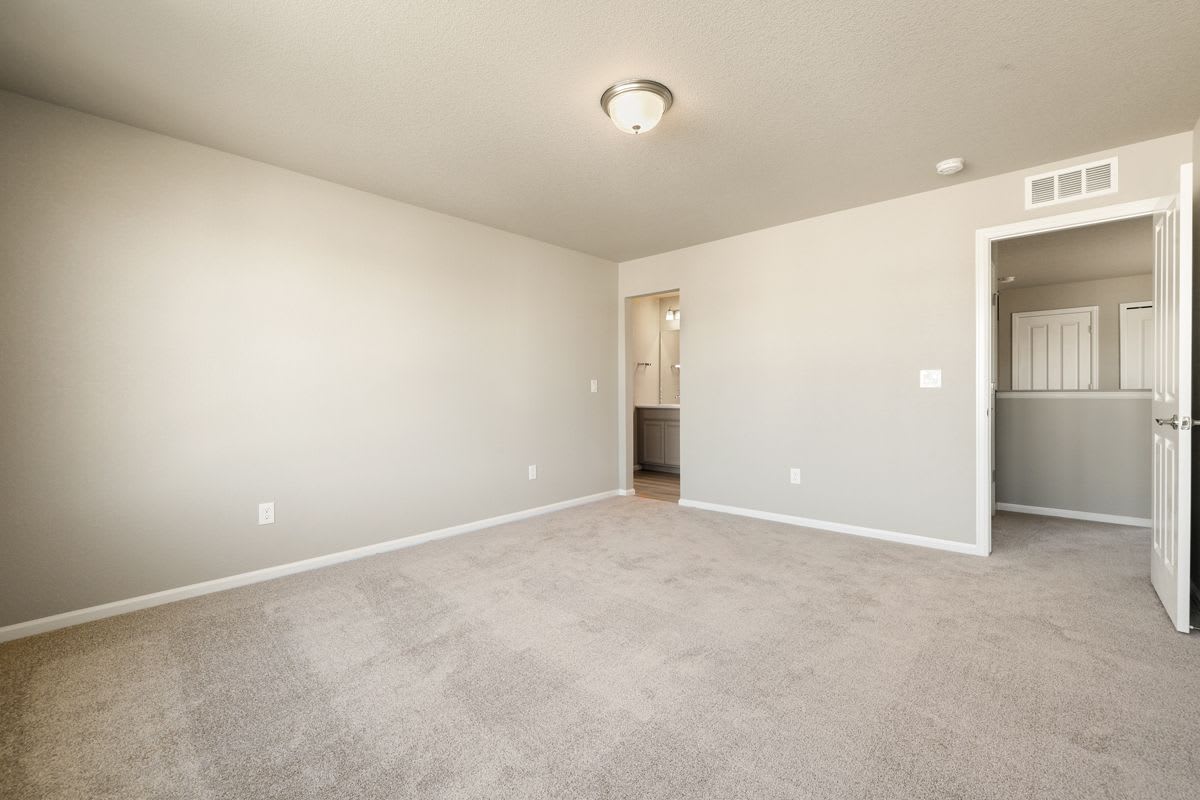 11441 Whistling Duck Wy, Colorado Springs photo 11