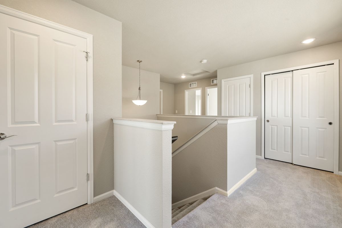 11441 Whistling Duck Wy, Colorado Springs photo 8