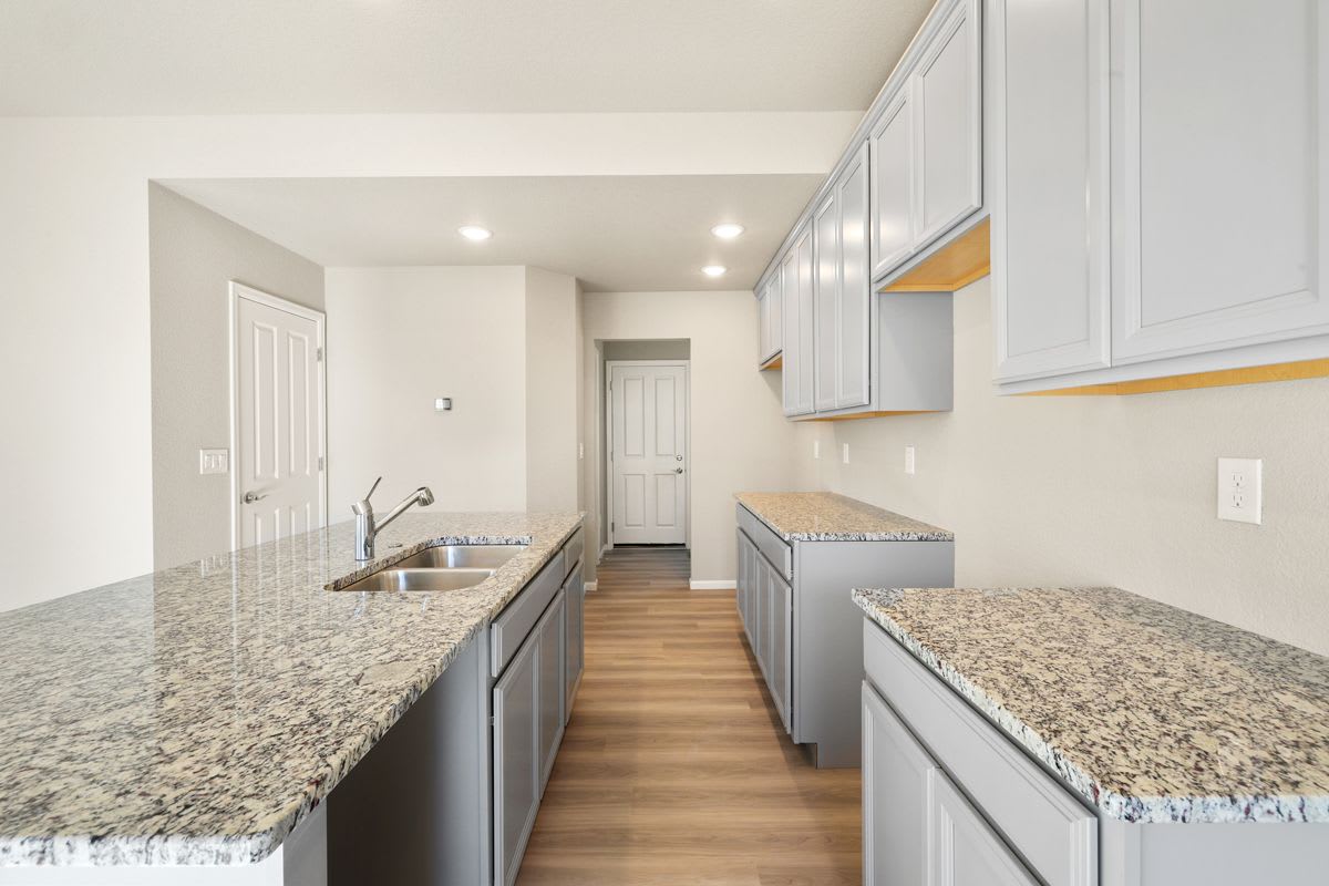 11441 Whistling Duck Wy, Colorado Springs photo 6